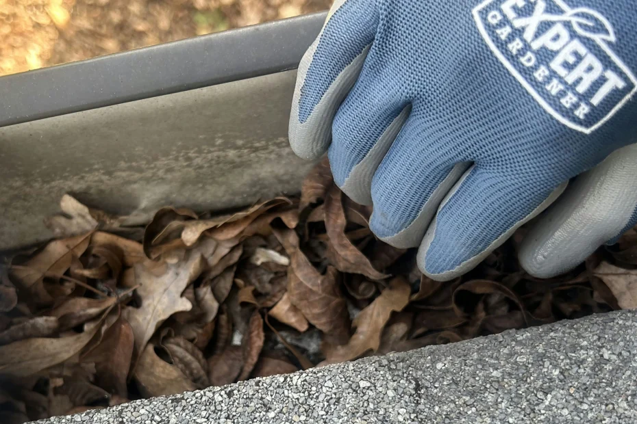 Gutter Cleaning Indialantic FL